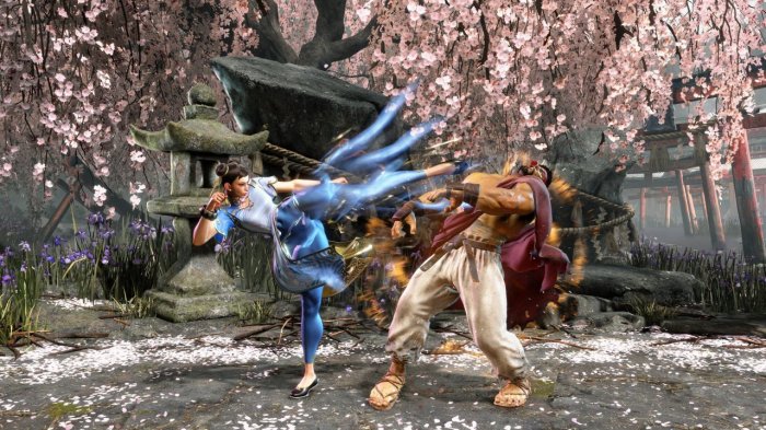 Upcoming fighting game releases